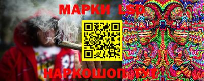 прущие грибы Комсомольск-на-Амуре