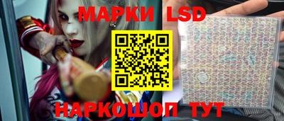 мет Кингисепп