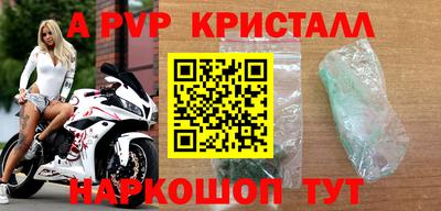 мет Кингисепп
