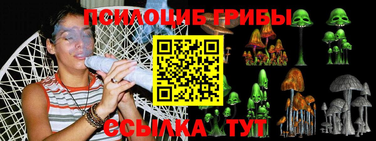 Псилоцибиновые грибы ЛСД Коммунар