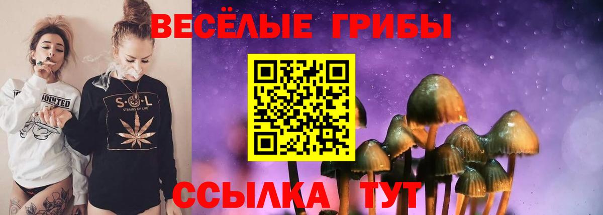 Коммунар  Псилоцибиновые грибы ЛСД  Вход с VPN 